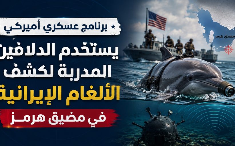 أشباح هرمز تحت الماء… دلافين أميركية سرّية تدخل حرب الألغام مع إيران.